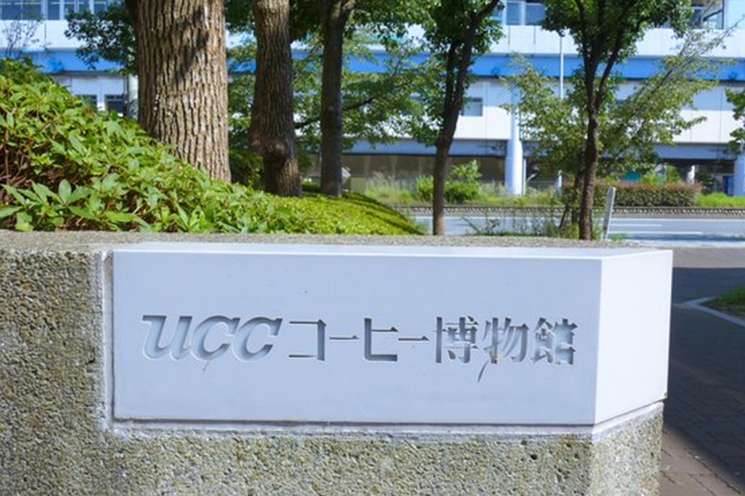 11.jpg 11.jpg