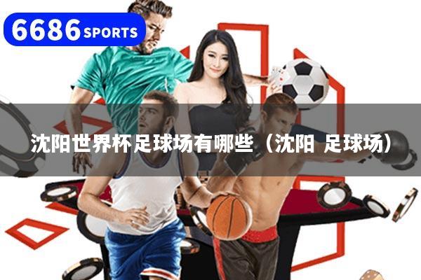 沈阳世界杯足球场有哪些(沈阳 足球场)