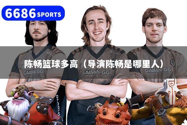 陈畅篮球多高（导演陈畅是哪里人）