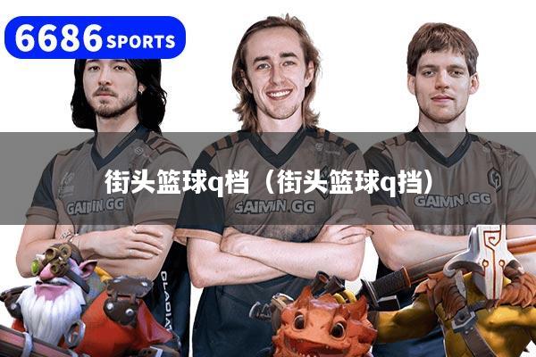 街头篮球q档（街头篮球q挡）